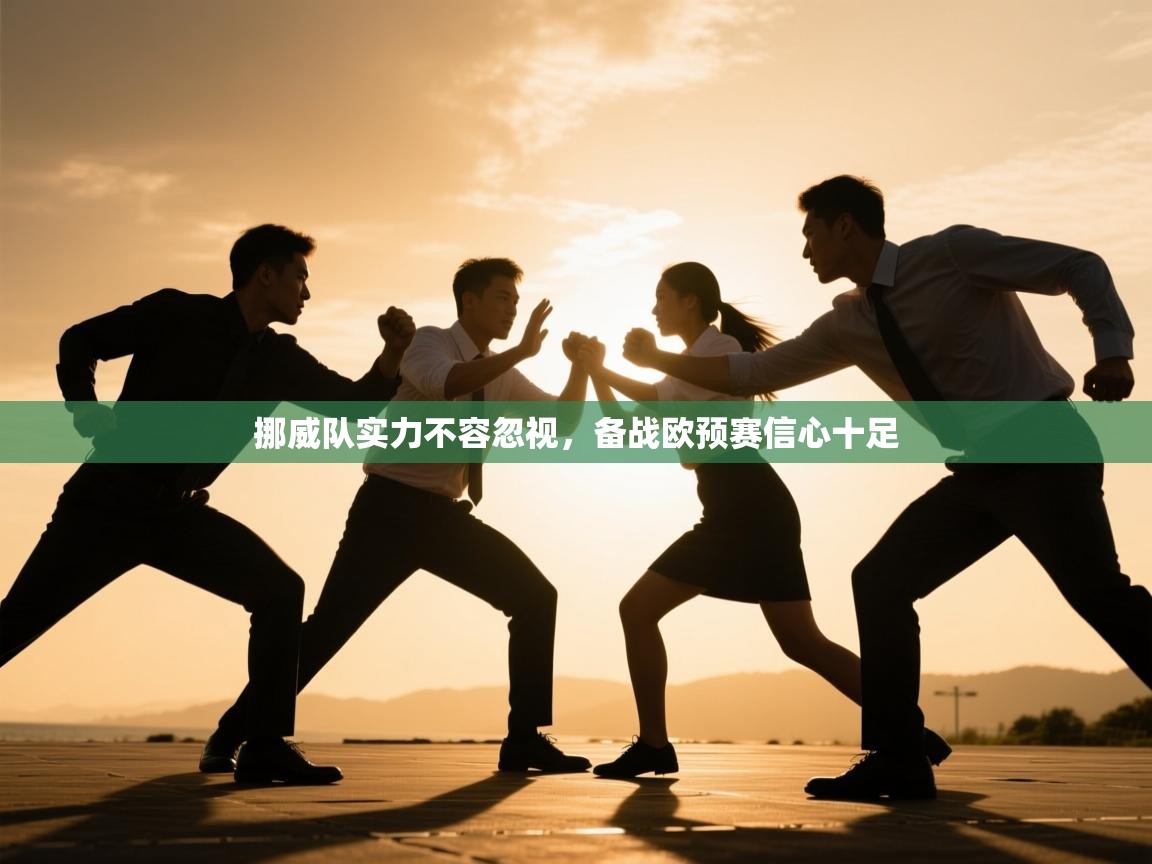 挪威队实力不容忽视，备战欧预赛信心十足  第1张