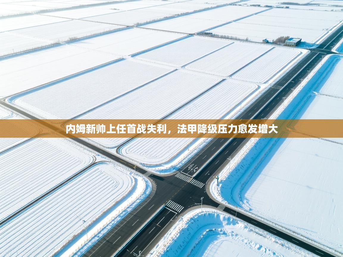 内姆新帅上任首战失利，法甲降级压力愈发增大  第2张