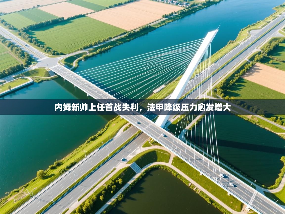 内姆新帅上任首战失利，法甲降级压力愈发增大  第1张