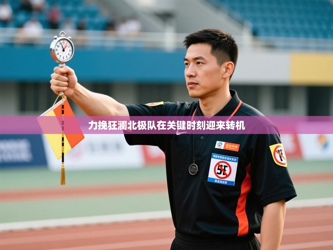 力挽狂澜北极队在关键时刻迎来转机  第2张