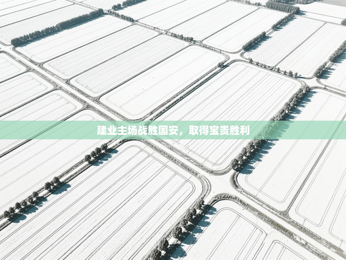 建业主场战胜国安，取得宝贵胜利  第1张