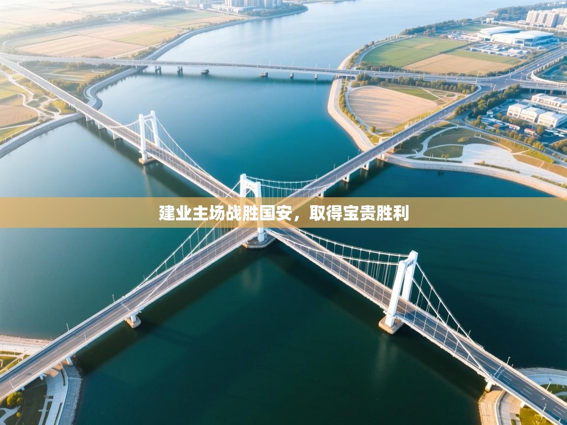 建业主场战胜国安，取得宝贵胜利  第2张