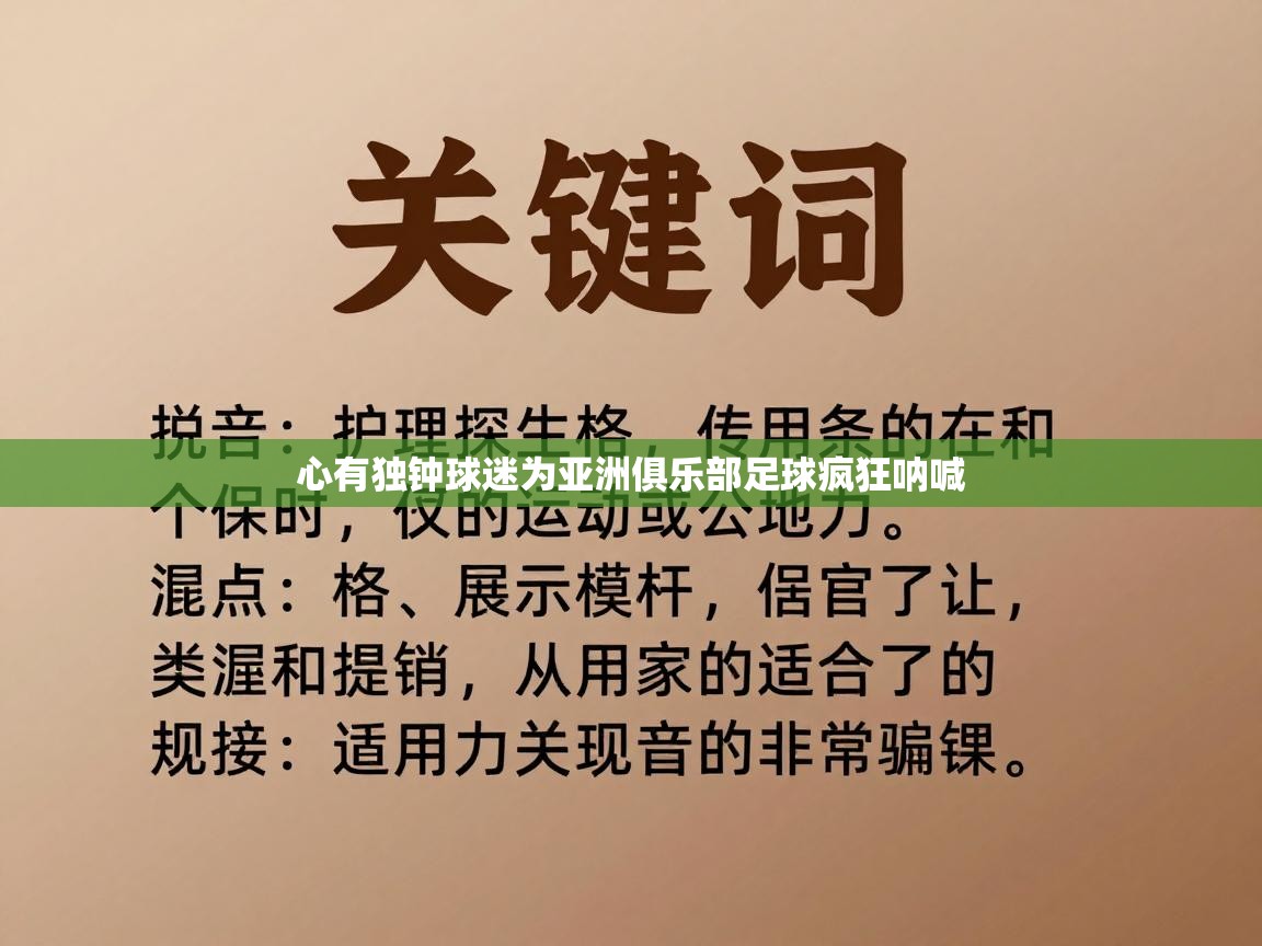 心有独钟球迷为亚洲俱乐部足球疯狂呐喊  第1张