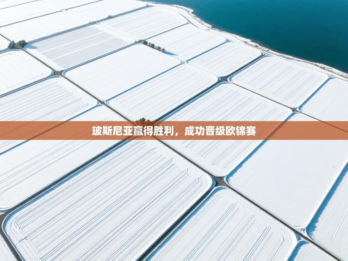 玻斯尼亚赢得胜利，成功晋级欧锦赛  第1张