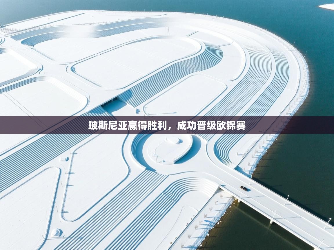 玻斯尼亚赢得胜利，成功晋级欧锦赛  第2张