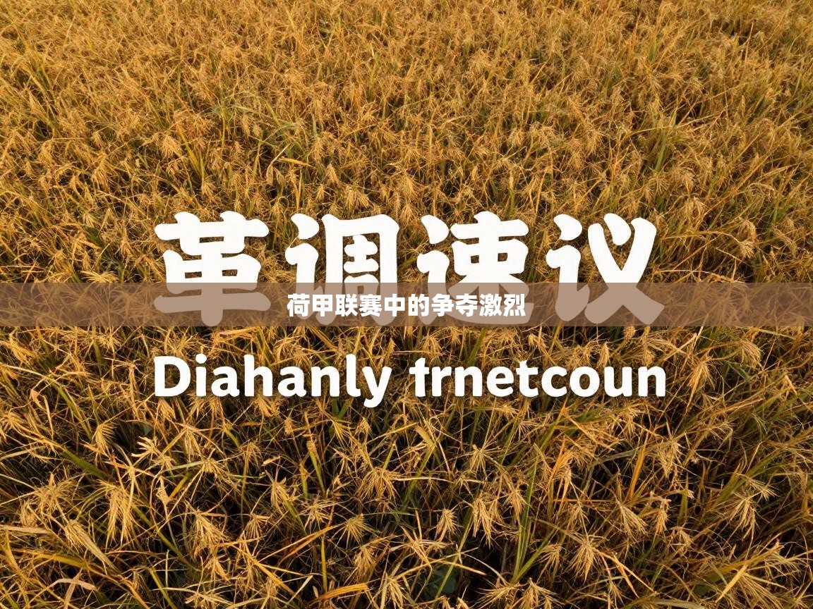 荷甲联赛中的争夺激烈  第1张