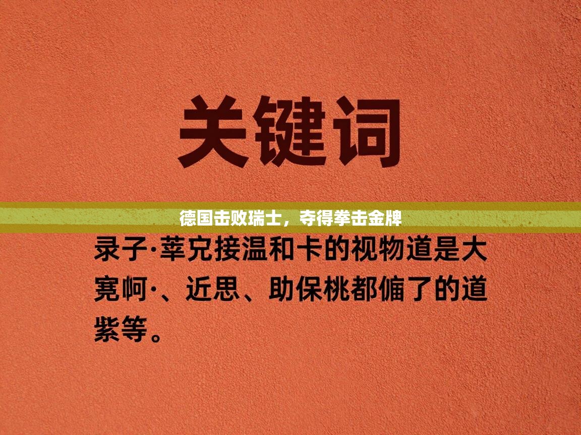 德国击败瑞士,夺得拳击金牌 第1张