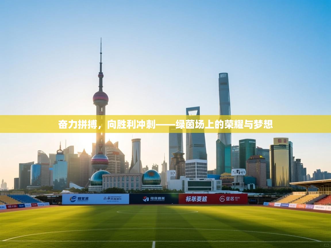 奋力拼搏,向胜利冲刺——绿茵场上的荣耀与梦想 第2张