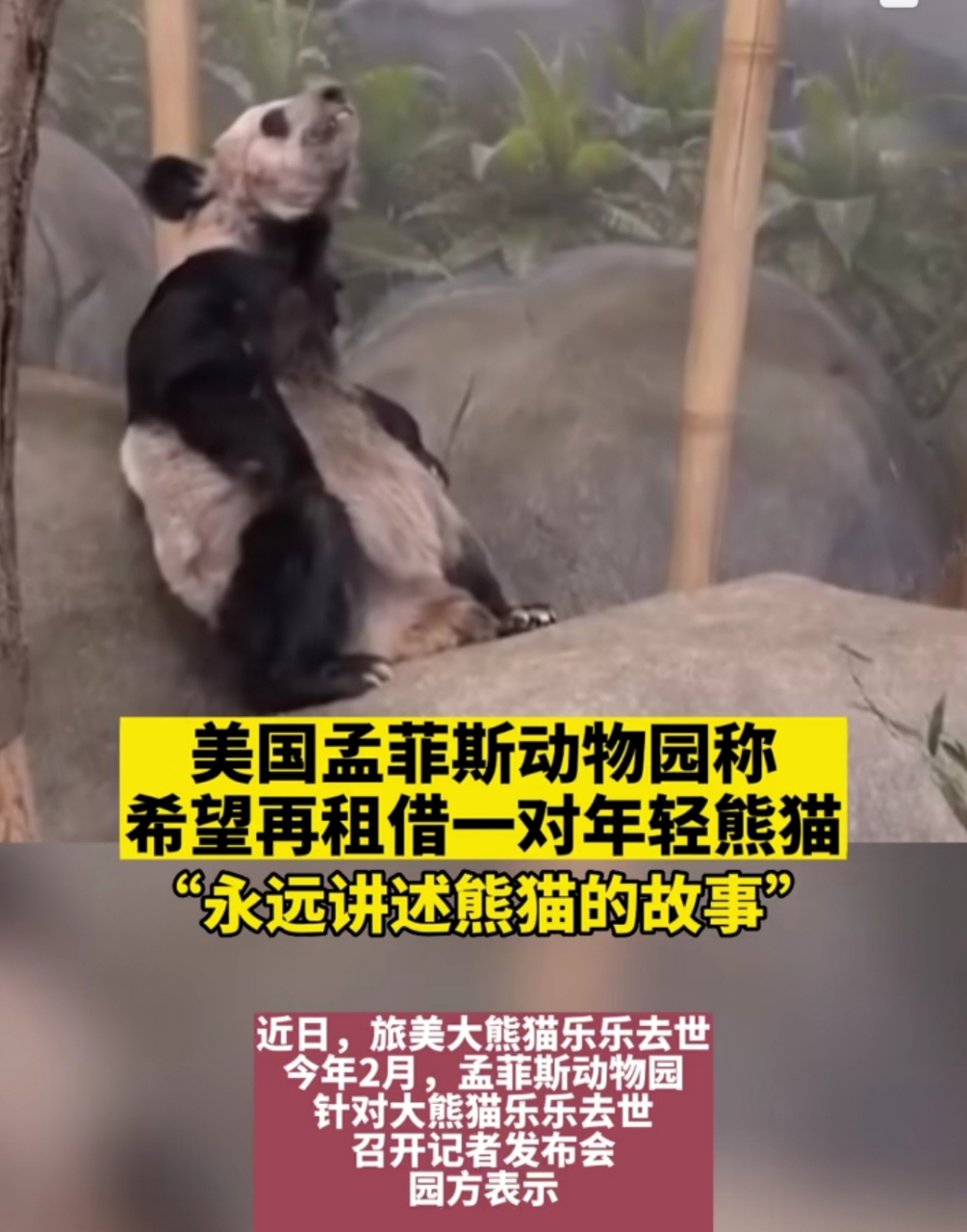 保加利亚主场击败瑞士，出线希望再次升温的简单介绍
